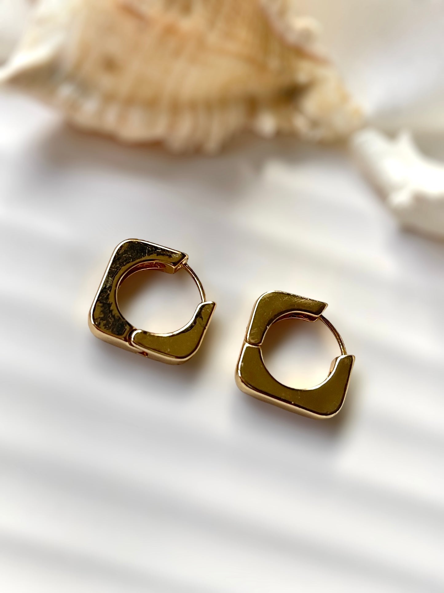 Caelix Hoops