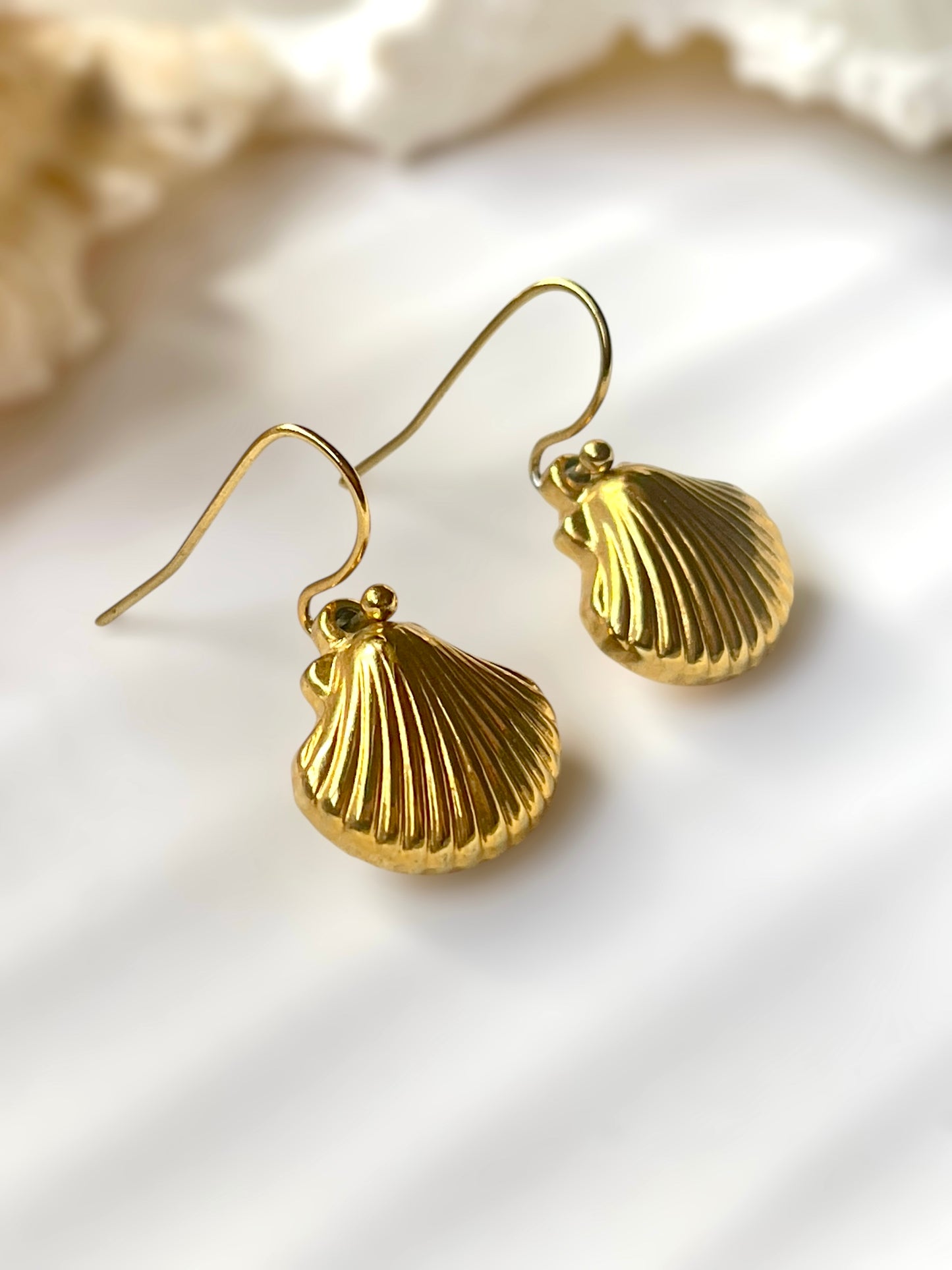 Shell Dangling Earrings