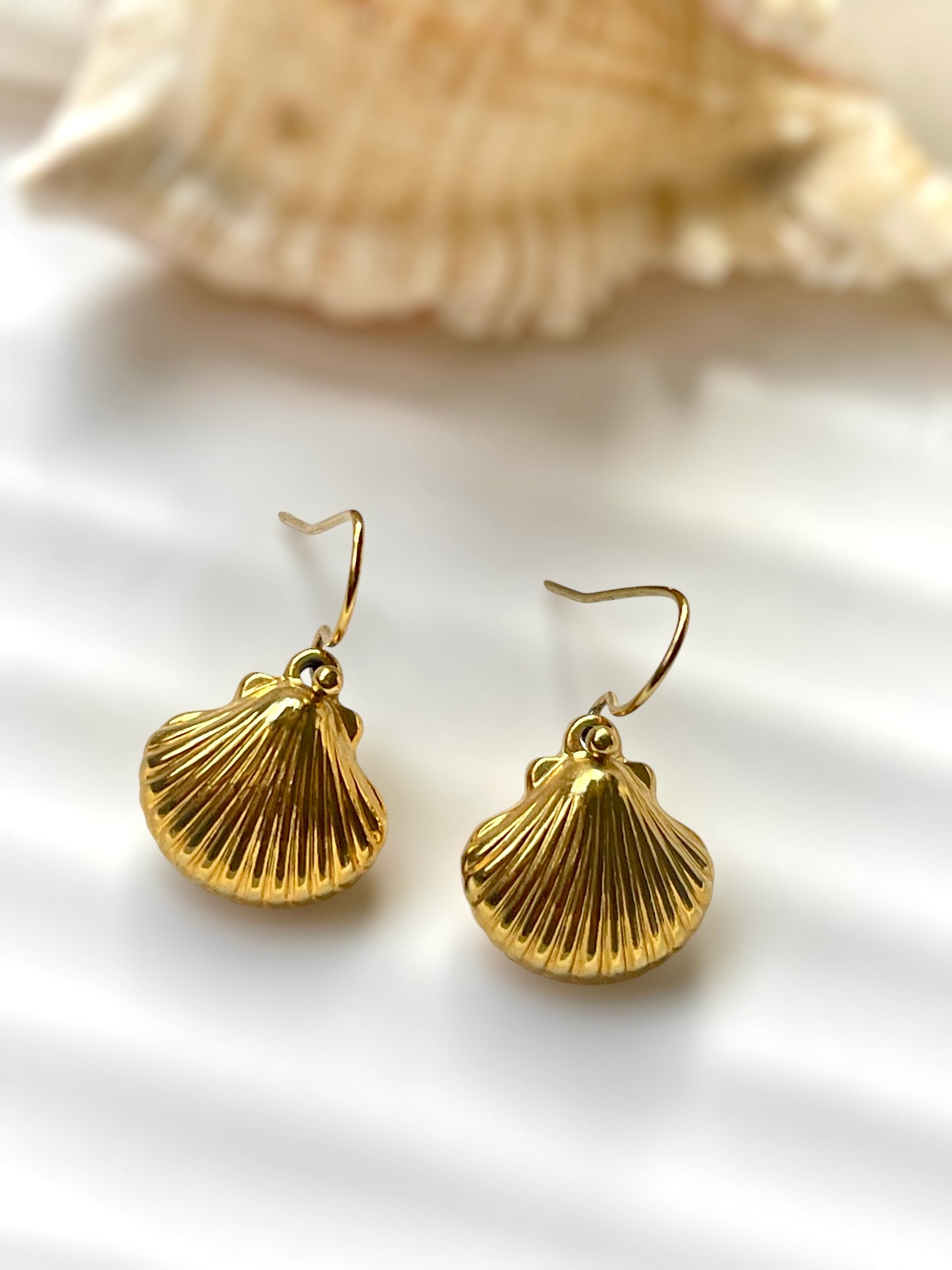 Shell Dangling Earrings
