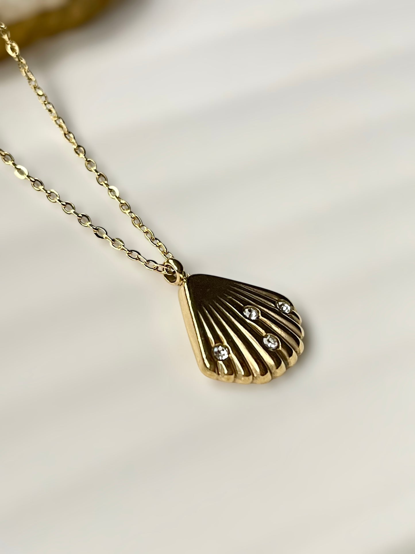 Seashell Necklace