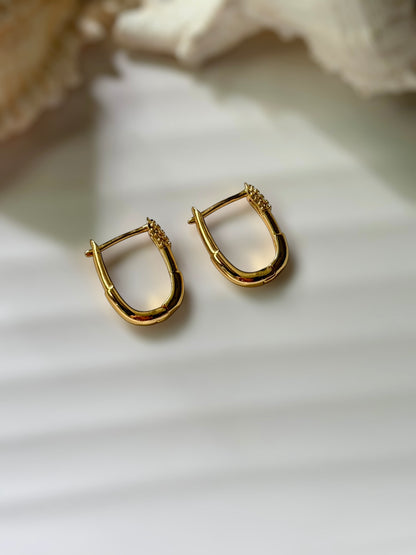 Vector Earrings