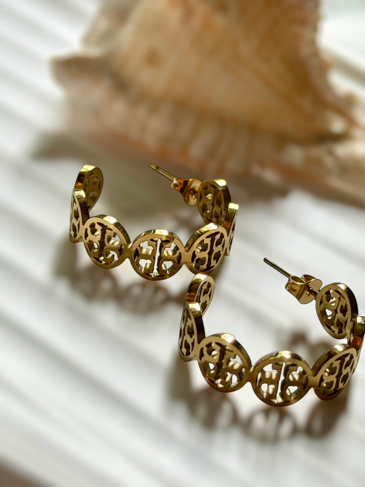 Inset Earrings