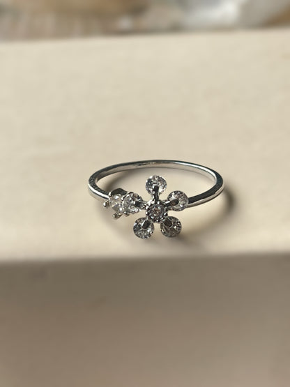 Spin Ring