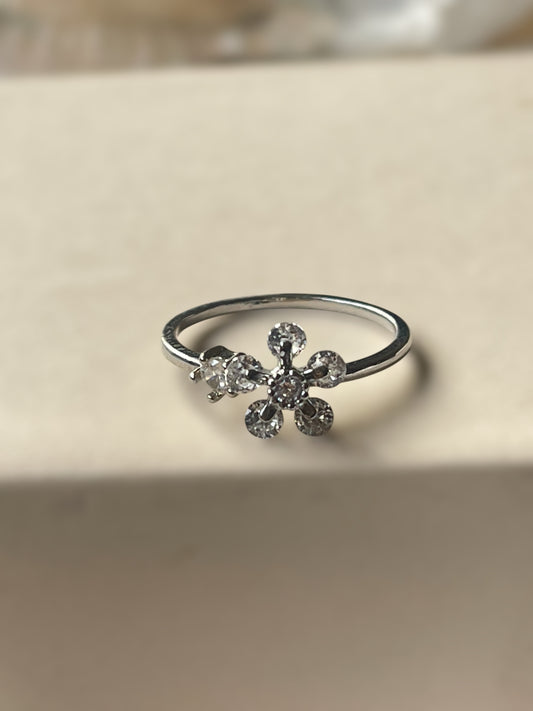 Spin Ring