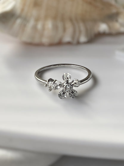 Spin Ring