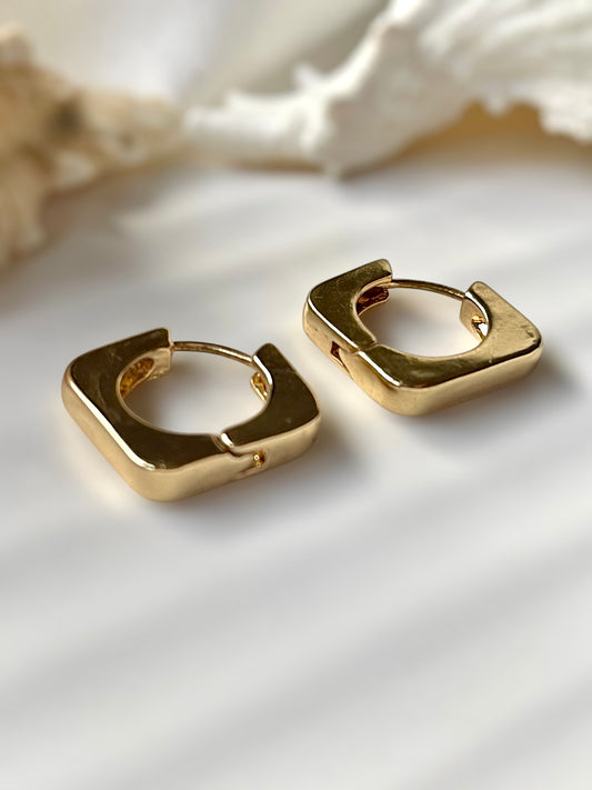 Caelix Hoops