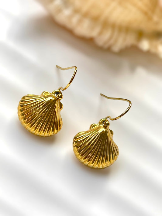 Shell Dangling Earrings