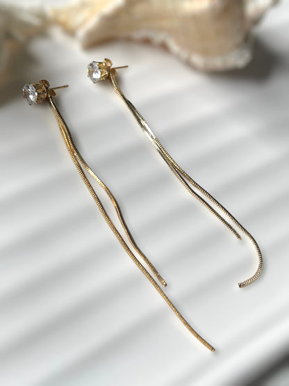 2 in 1 Earrings