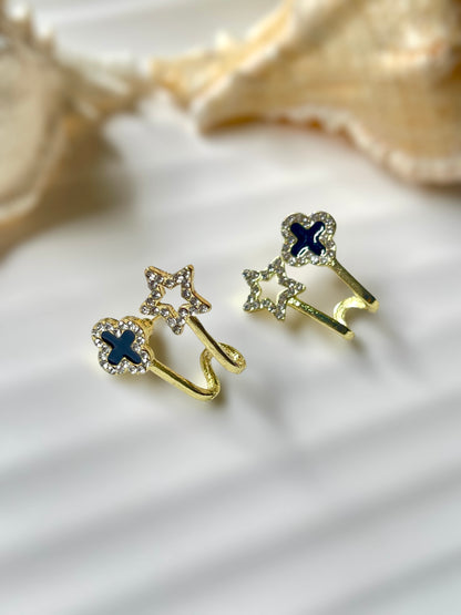 Enchanted Earrings