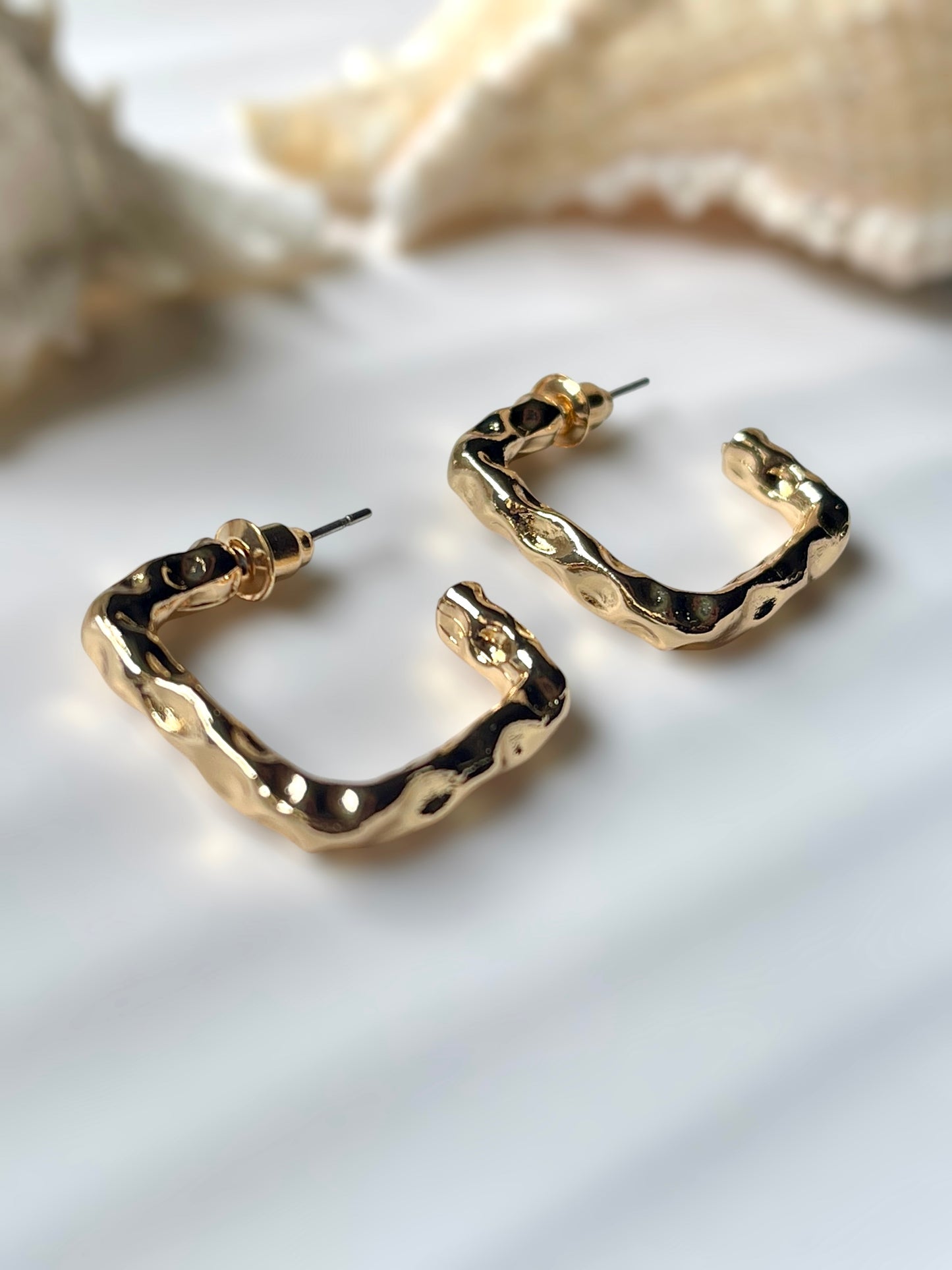 Shizuka Hoops